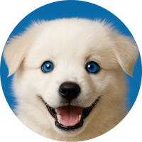 New Bitcoin #crypto #TRIX